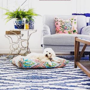 Blue and white coastal style rug in Hamptons living room with poodle posing on the floor